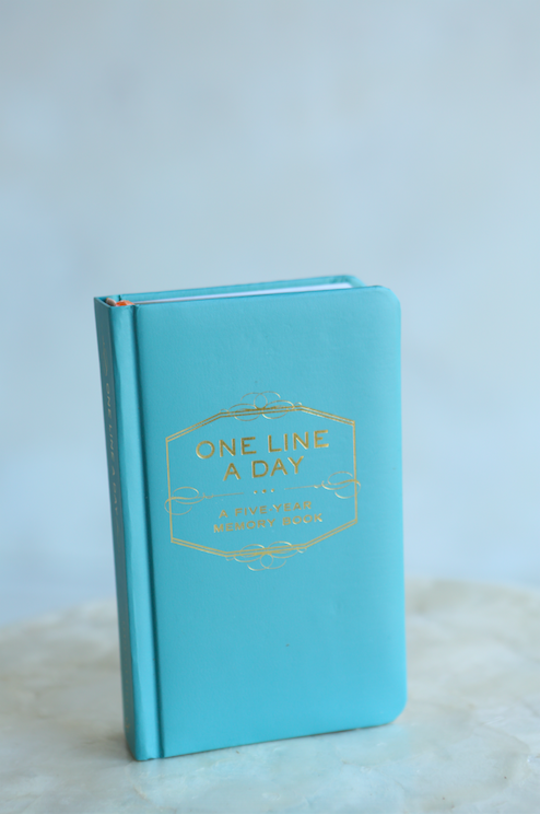 One Line A Day Journal - VelvetCrate